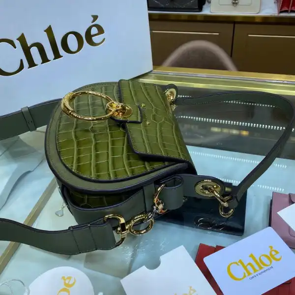 HyperPeter CHLOÉ SMALL TESS BAG 0122