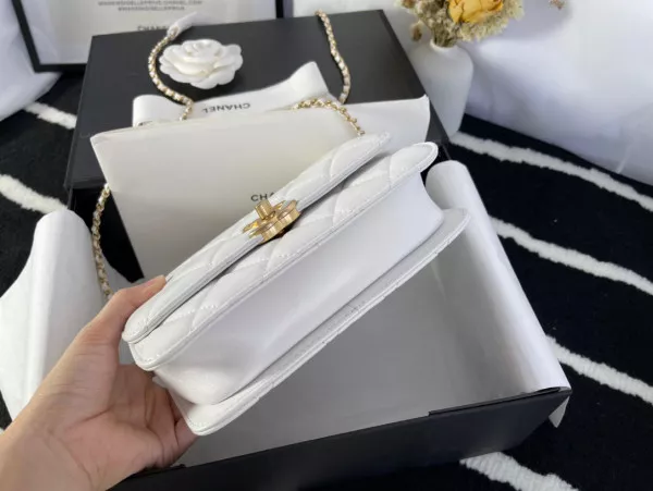 Hyper Peter CHANEL MINI FLAP BAG 0119