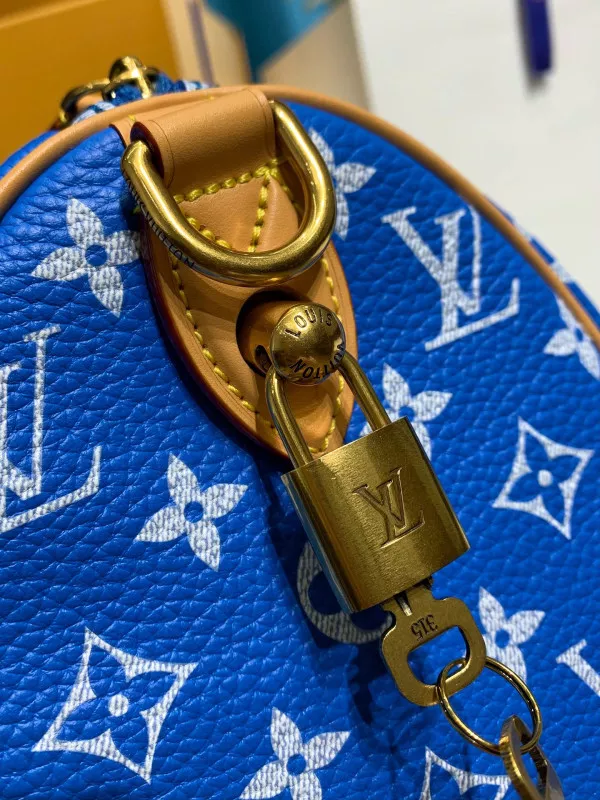 Hyper Peter Louis Vuitton SPEEDY 25 0117