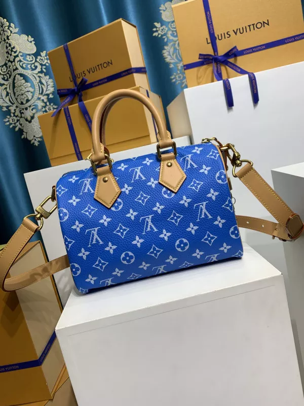 Hyper Peter Louis Vuitton SPEEDY 25 0117