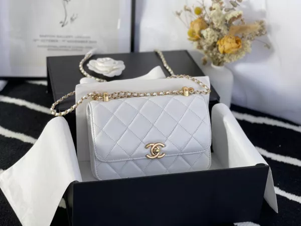 Hyper Peter CHANEL MINI FLAP BAG 0119