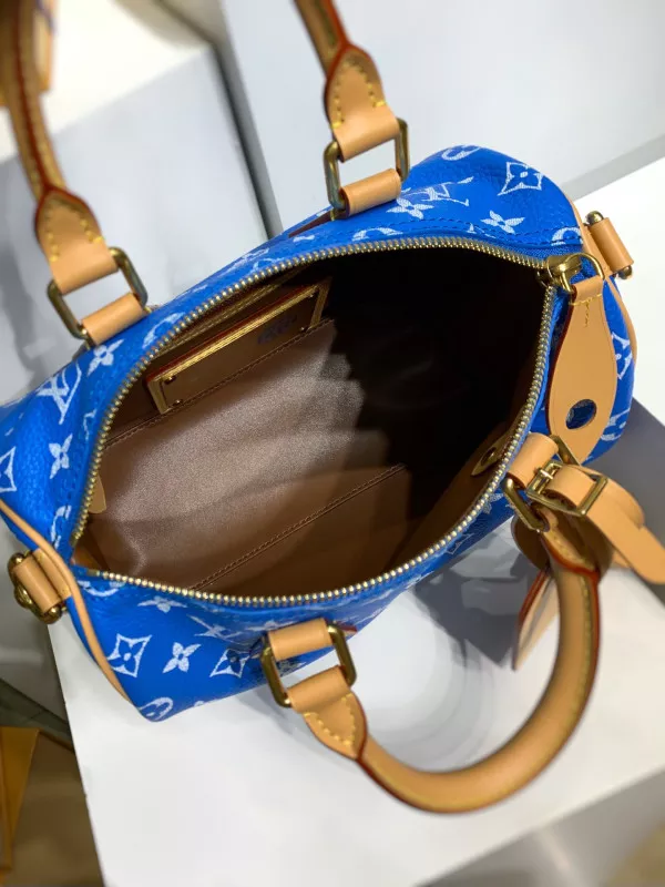 Hyper Peter Louis Vuitton SPEEDY 25 0117