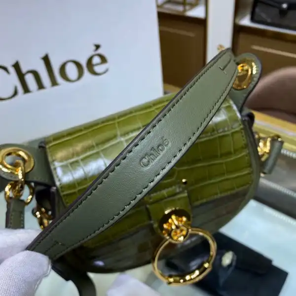 HyperPeter CHLOÉ SMALL TESS BAG 0122