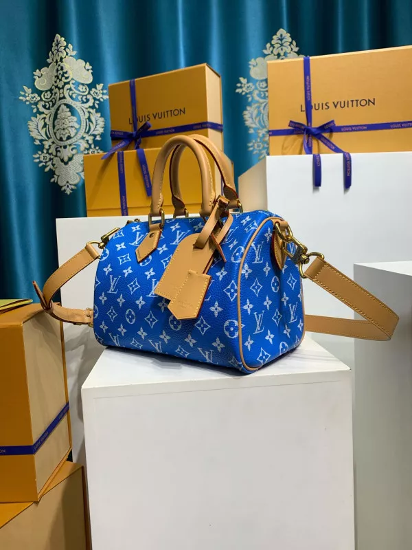 Hyper Peter Louis Vuitton SPEEDY 25 0117