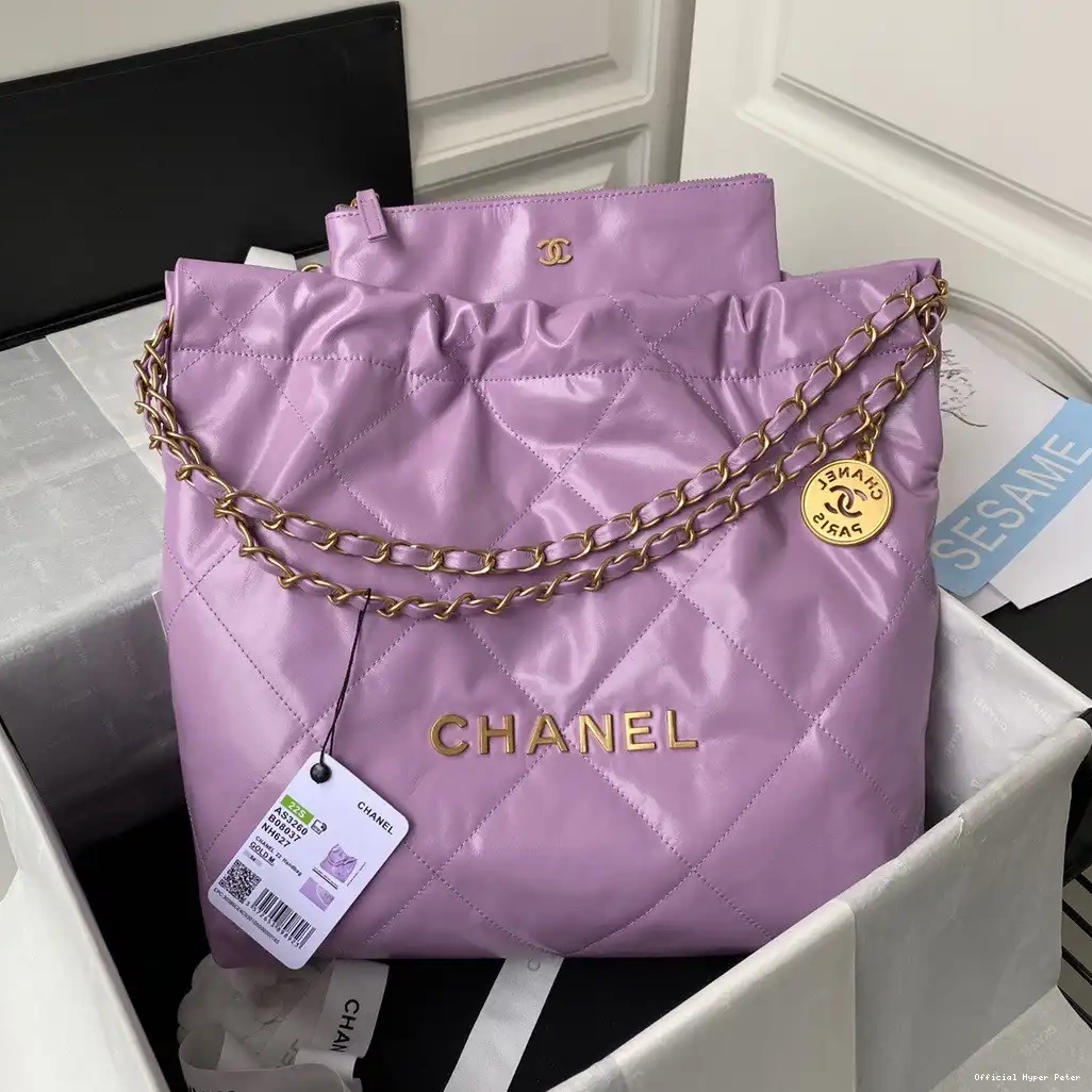 HyperPeter CHANEL SMALL 22 HANDBAG 0223