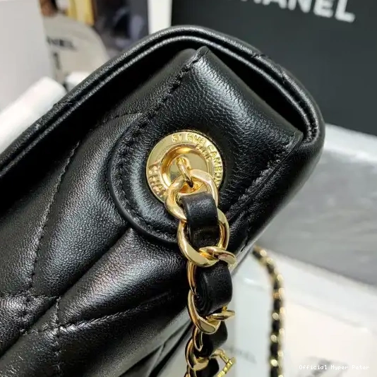 HyperPeter CHANEL FLAP BAG 0213