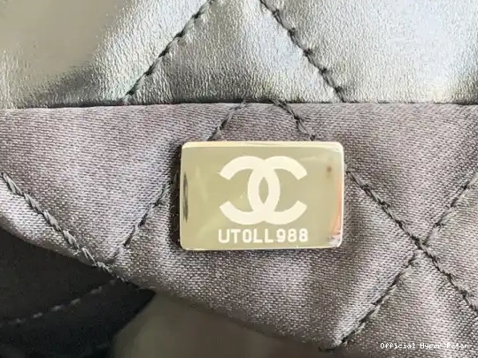 Hyper Peter 22 HANDBAG SMALL CHANEL 0213