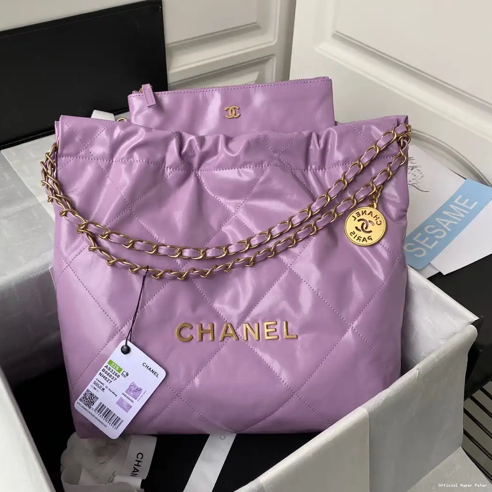 HyperPeter CHANEL SMALL 22 HANDBAG 0223