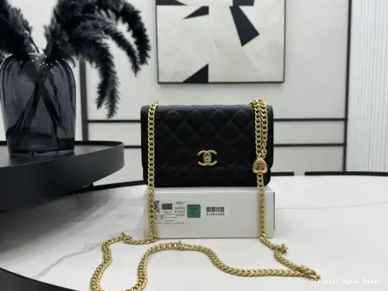 Hyper Peter CHANEL WOC-19*12*3.5cm 0221