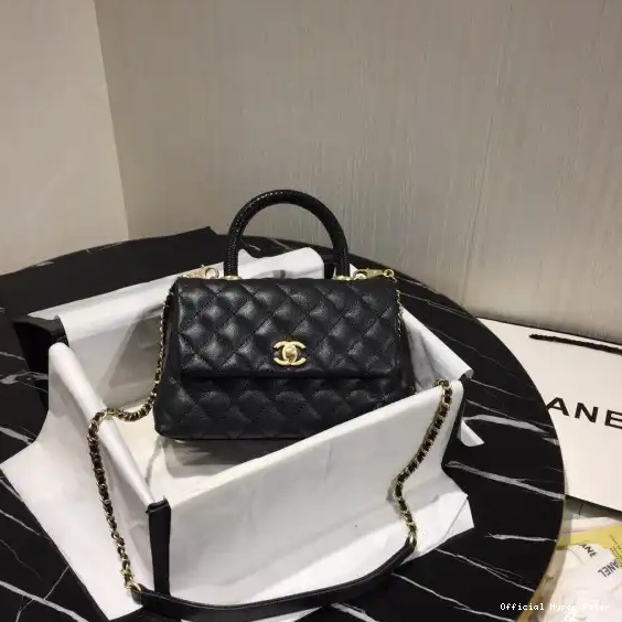 Hyper Peter Coco Handle Bag CHANEL 0219